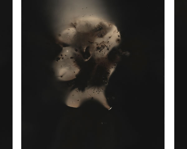 Christopher Colville, Untitled, Head Triptych, 2014. Gunpowder Generated Gelatin Silver Prints, 20 x 50 inches. Courtesy of the artist