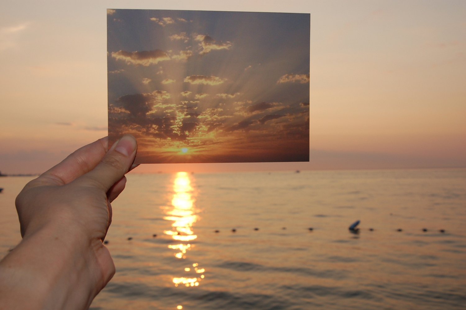 Lisa Oppenheim, The Sun is Always Setting Somewhere Else (detail), 2006. Slide projection of 15 35mm slides, continuous loop, Variable. Courtesy of the artist and Tanya Bonakdar Gallery