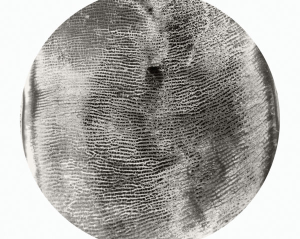 Tracy Longley Cook, Topography #2, 2012. Pigment print, 30 x 30 inches. Courtesy of the artist