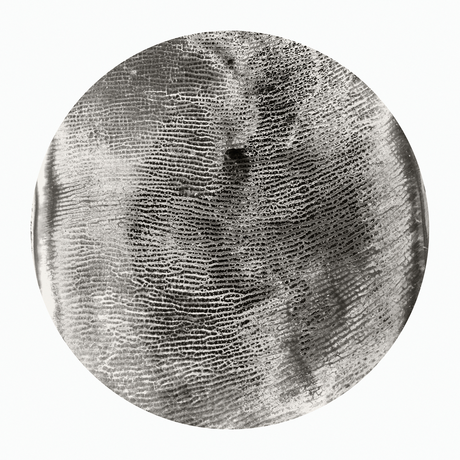 Tracy Longley Cook, Topography #2, 2012. Pigment print, 30 x 30 inches. Courtesy of the artist