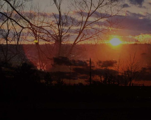 C. Jacqueline Wood, SHINE (Sketch no.15), January, 2016. Digital Photography, Variable. Courtesy of the artist